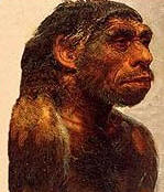 neandertal2.jpg